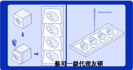 滨海蔡司滨海扫描电镜