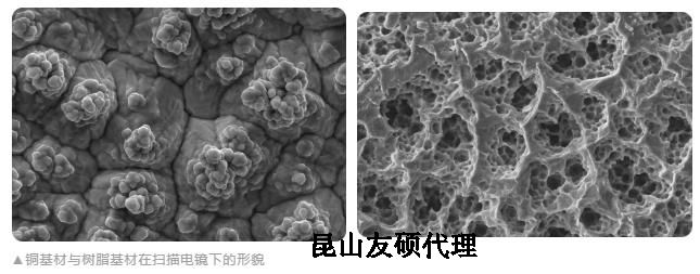 滨海蔡司滨海扫描电镜