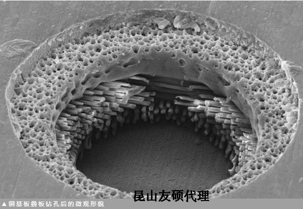 滨海蔡司滨海扫描电镜